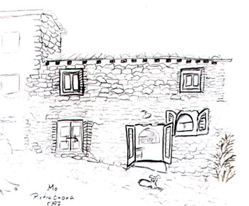 Urlaubsimpression mit Hundedame