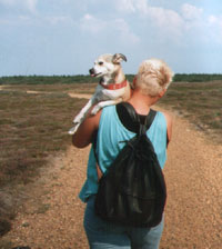 Der Weg ist noch weit