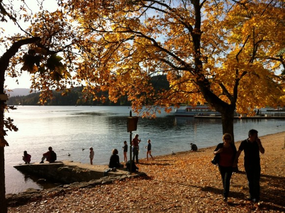 Herbst am Titisee