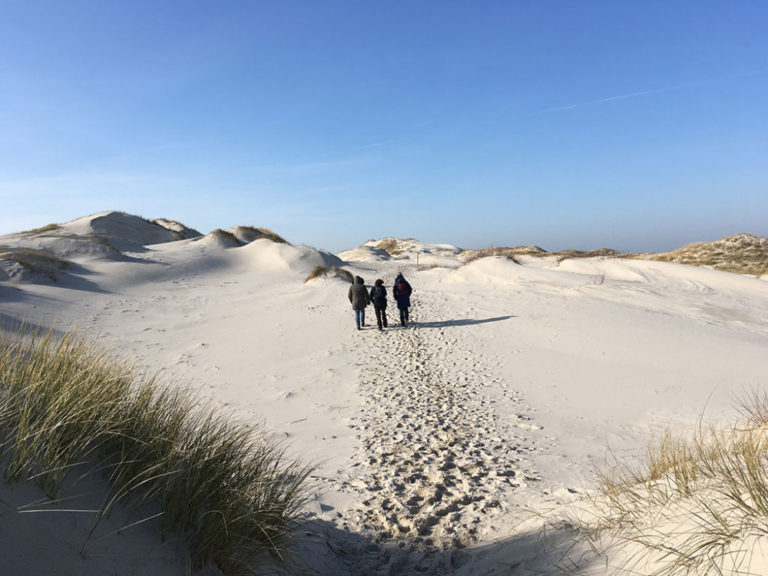 Ja, dies ist ein offizieller Wanderweg: Mitunter darf man auf Amrum auch die Dünen durchqueren wie hier zwischen Wittdün und Nebel.