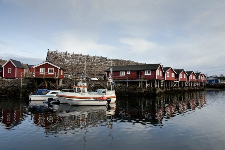 Rorbuer und Stockfischgestelle an der norwegischen Küste. Bild: Svinøya Rorbuer A/s ; CC BY-SA 3.0, via Wikimedia Commons