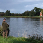 Den Hering zieht es von der Ostsee zum Laichen ins Brackwasser des Kanals.