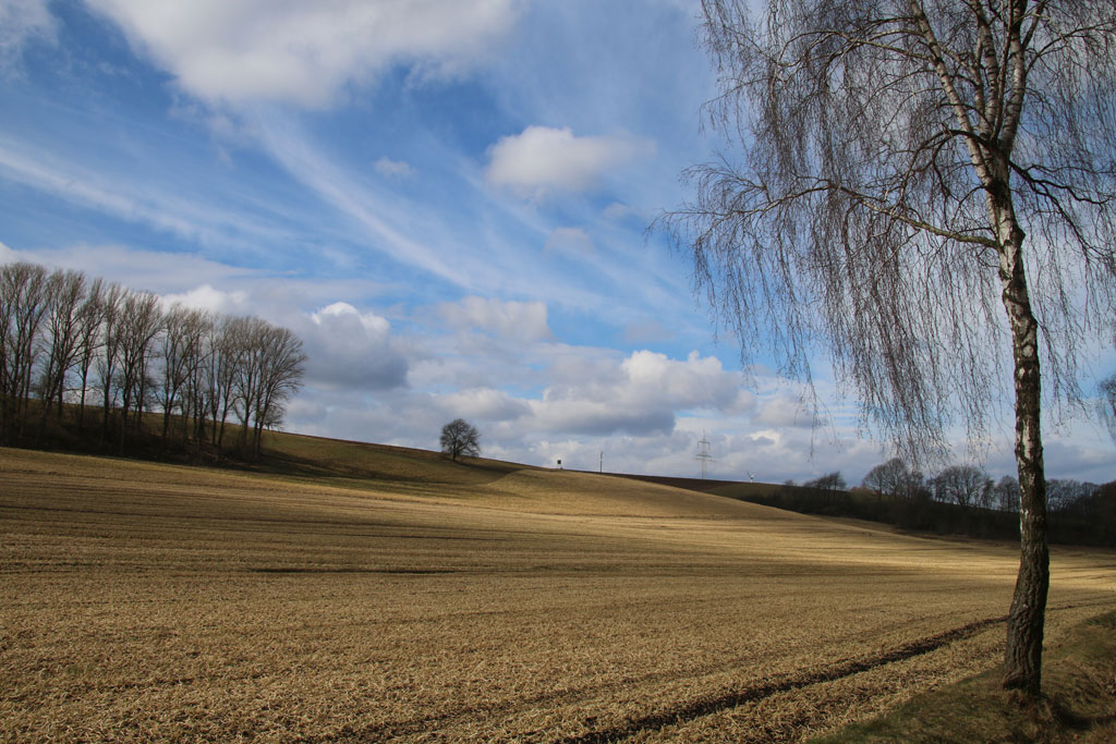 Brakeler Land