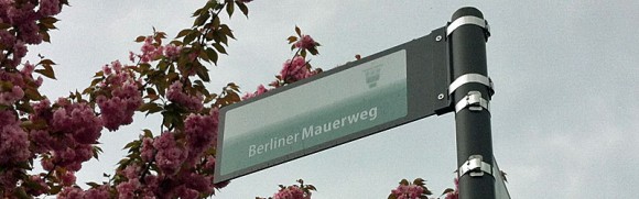 Kirschblütenallee bei Teltow