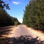 Kolonnenweg bei Frohnau