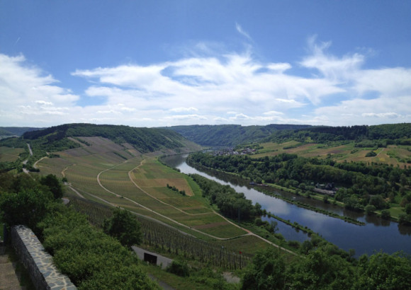 Ausblick von der Marienburg.