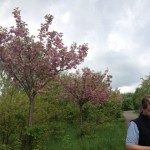 Bei Teltow